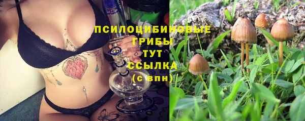 бошки Аркадак