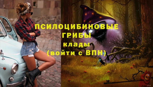 spice Армянск