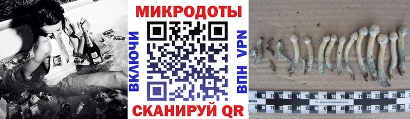 Псилоцибиновые грибы MAGIC MUSHROOMS  hydra маркетплейс  Удачный 